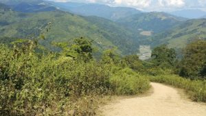 Nagaland tour scenery